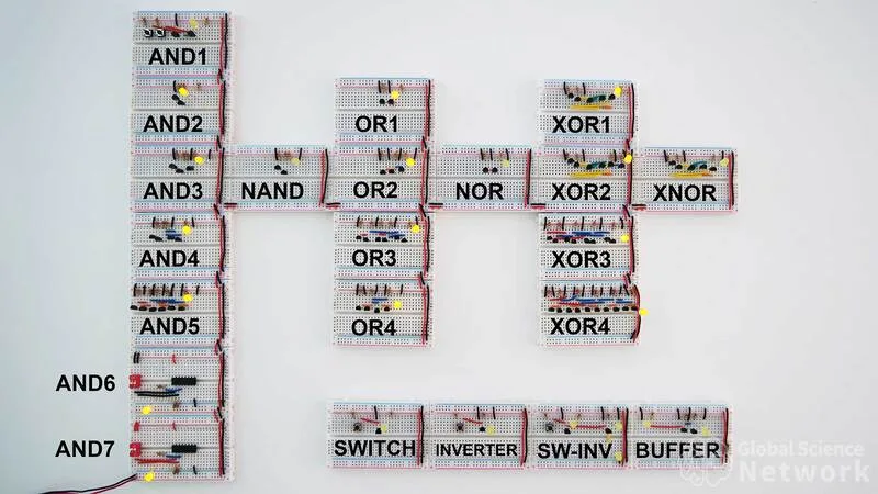 Tín hiệu điện trong chip được xử lý theo logic nhị phân để tạo ra lệnh điều khiển
