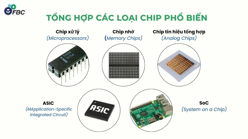 Vi mạch bán dẫn được chia thành nhiều nhóm như vi xử lý, bộ nhớ, cảm biến và chip nguồn
