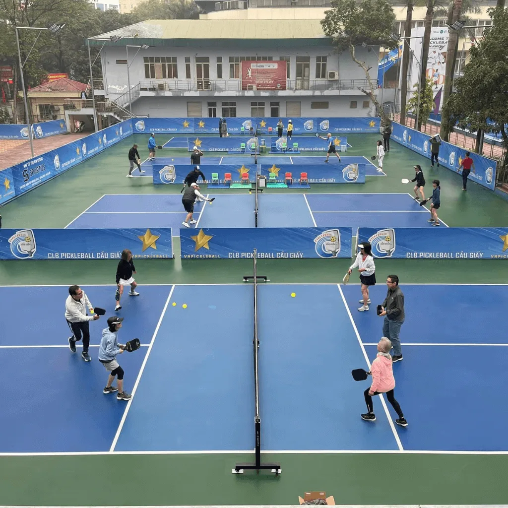 Pickleball là môn gì